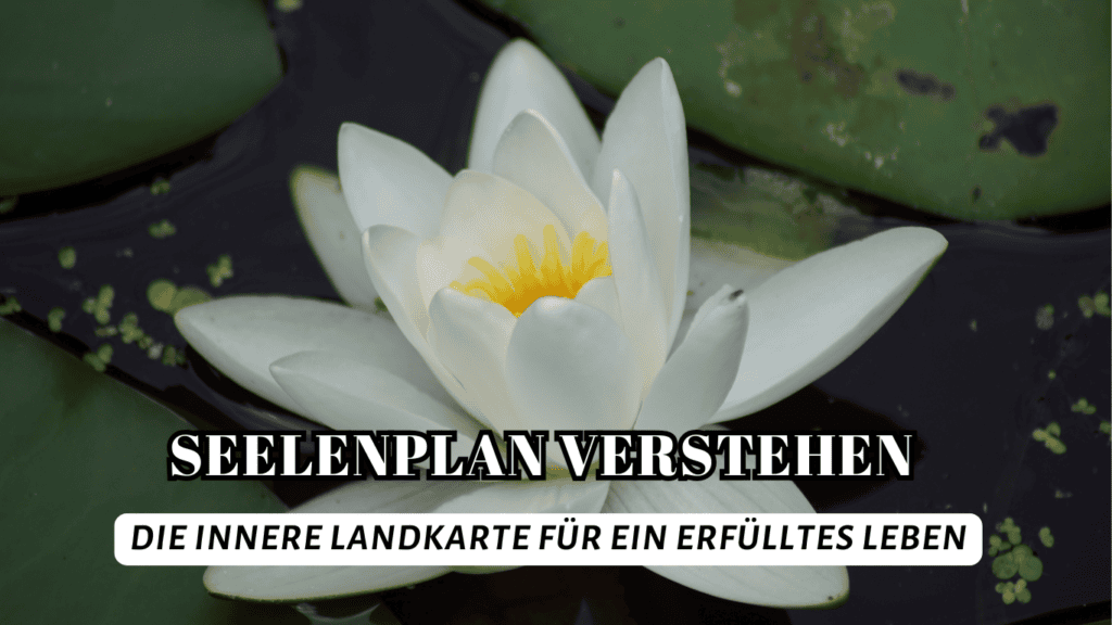 Seelenplan verstehen