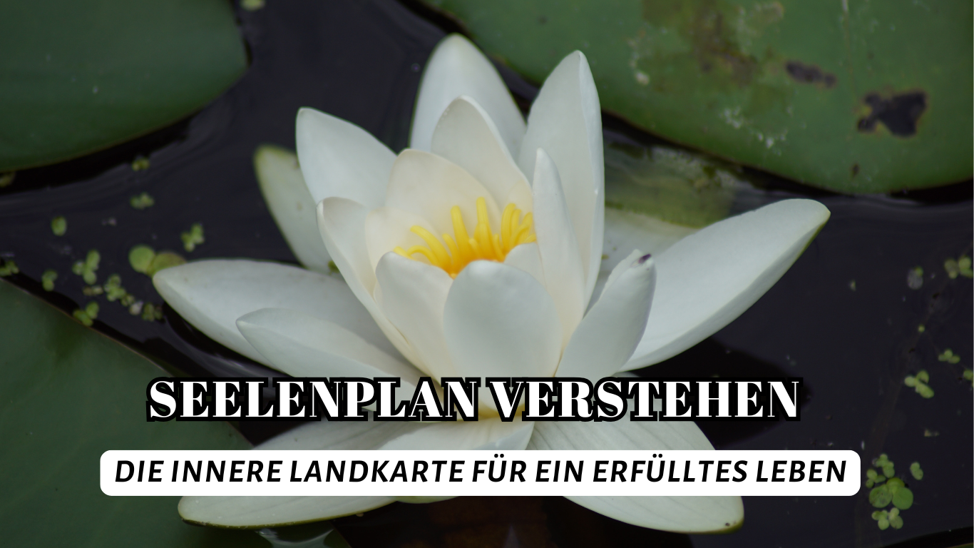 Seelenplan verstehen